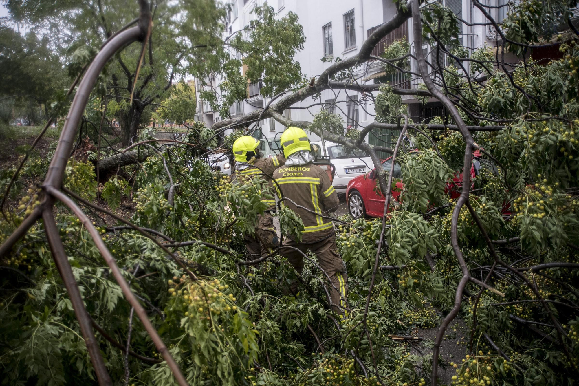 Fotogalería | Así afecta el temporal de lluvia y viento en Cáceres