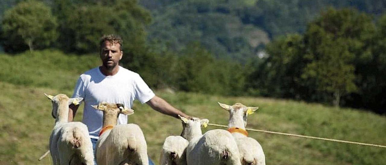 Jaume Coll, agricultor, ganadero y presentador de televisión, con algunas de sus ovejas.