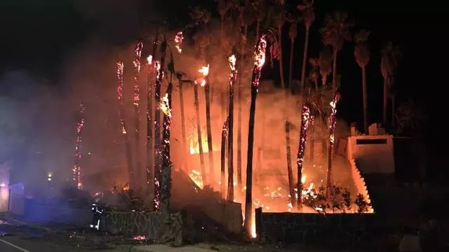 Incendio en un palmeral de Mogán
