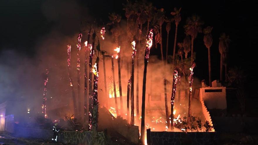 Incendio en un palmeral de Mogán