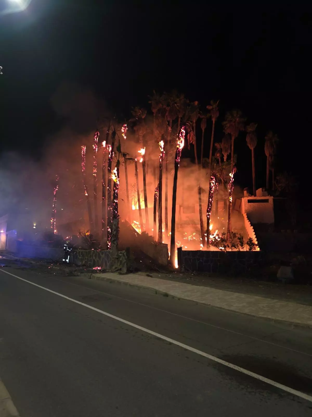Incendio en un palmeral de Mogán