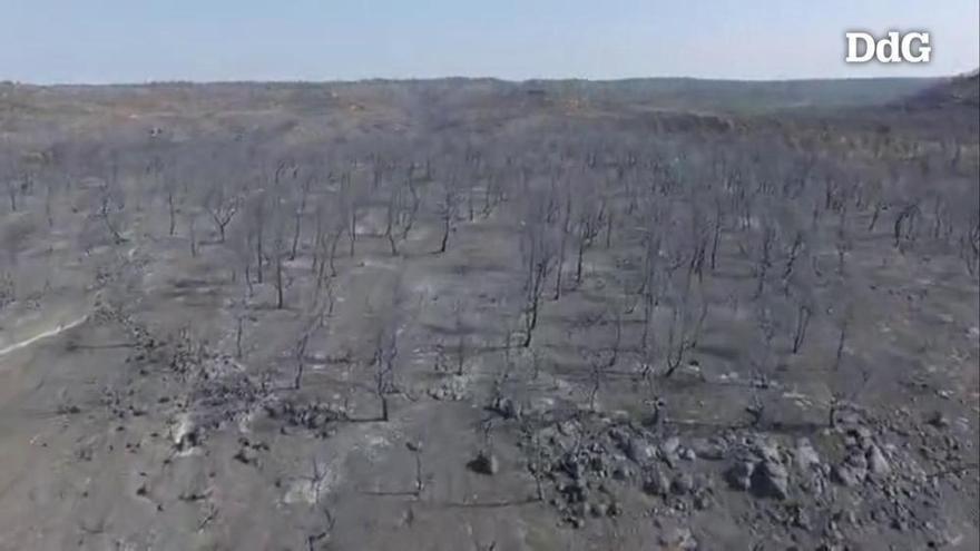 L'incendi de la Ribera d'Ebre, a vista de dron