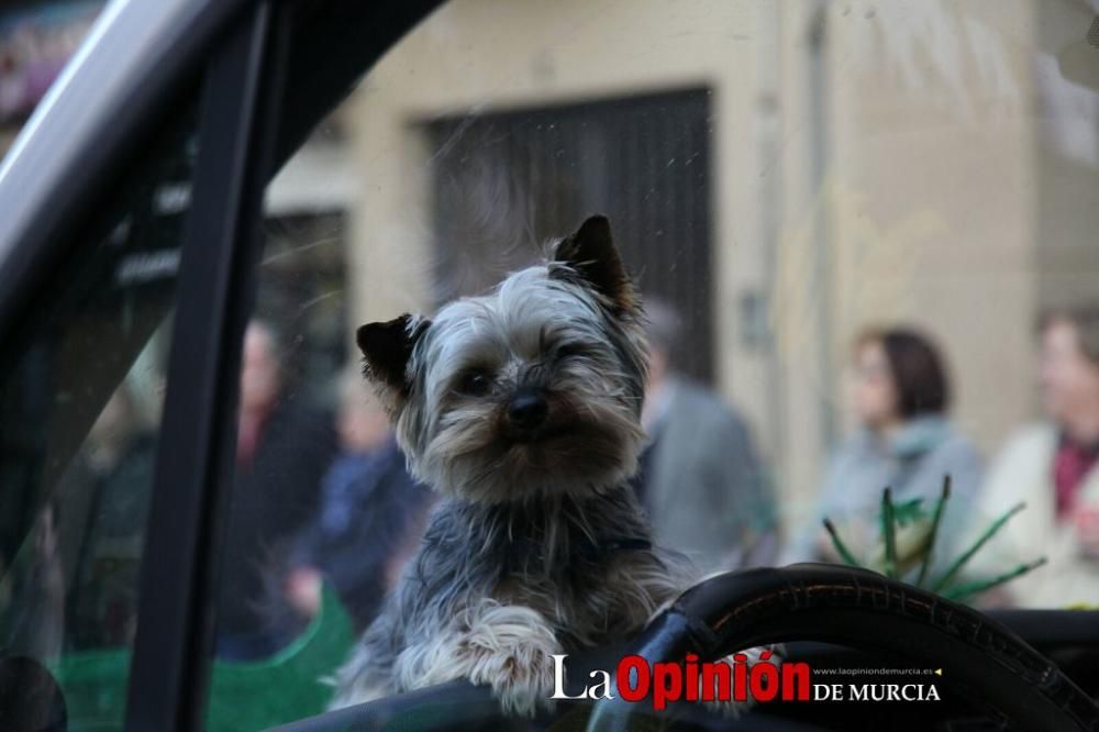 Gran desfile de carnaval de Lorca