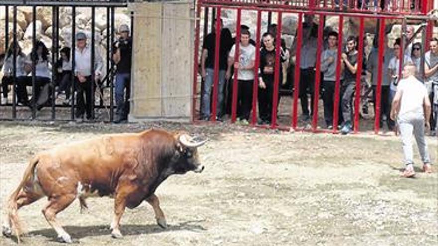 Villahermosa exhibe los toros junto a su río