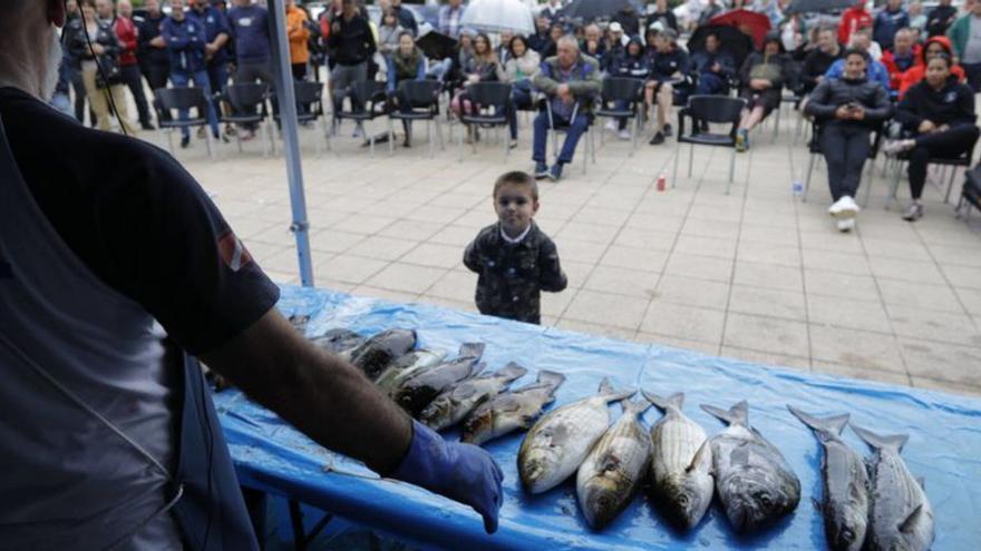 Trescientos kilos de capturas submarinas para el Asilo de Avilés