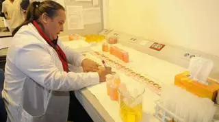 Una veintena de investigadores gallegos luchan para atajar la mortandad de bivalvos