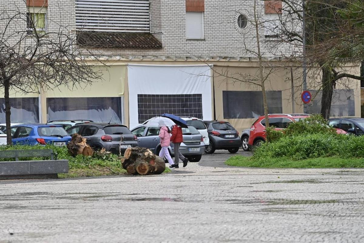 Fotogalería | Imágenes del temporal en Badajoz, este sábado