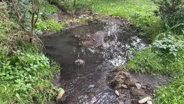 VÍDEO | Vertidos en el río Forcadura: los vecinos de Vigo de Sanabria piden soluciones