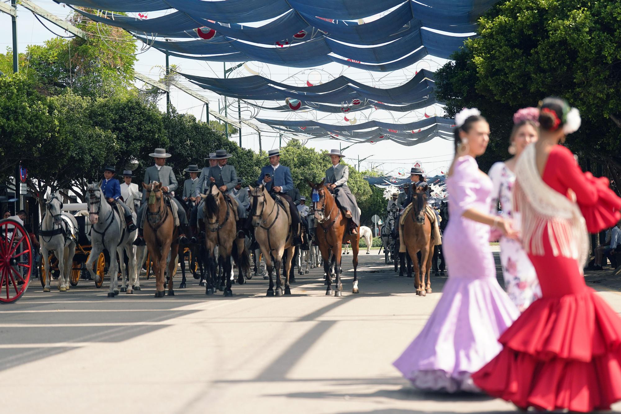 Feria de Málaga 2023 | Caballos y jinetes, esencia de la Feria en el Real