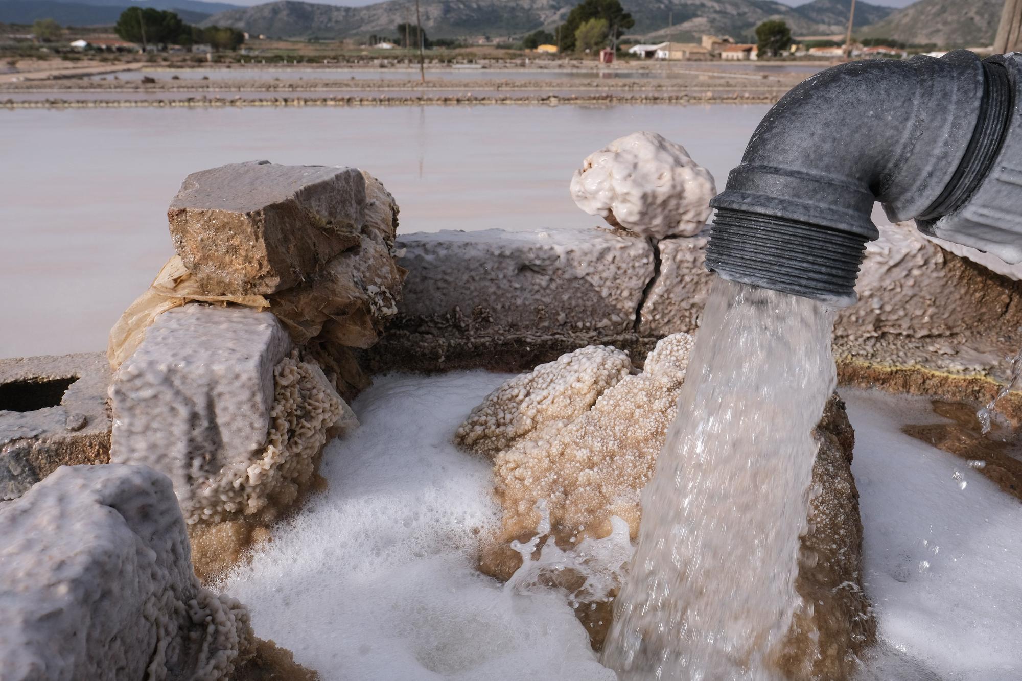 Un mundo extraterrestre en Villena