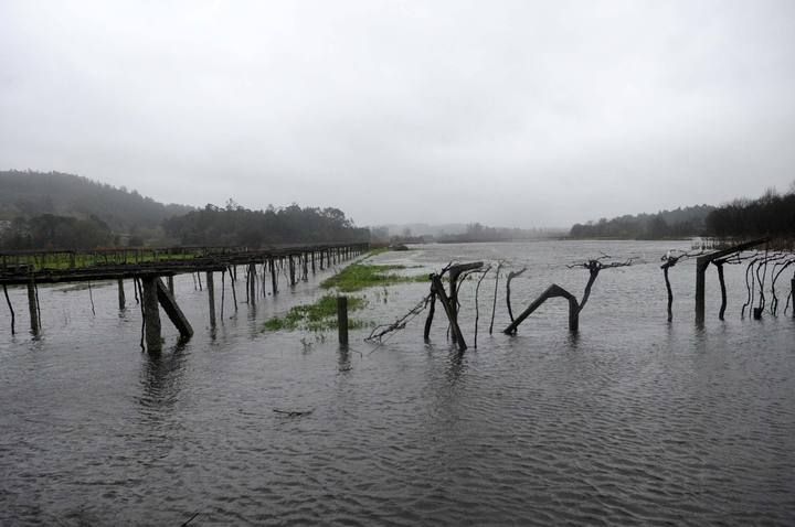 La intensa lluvia provoca la crecida del río Umia