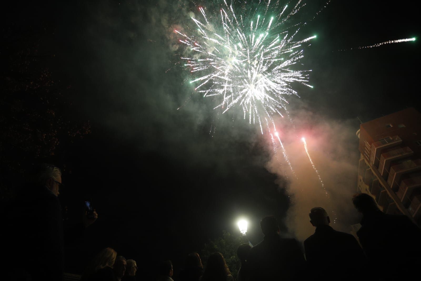 Arde la hoguera de Sant Antoni