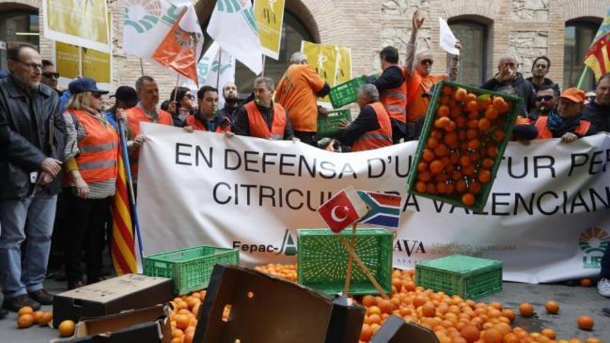 Los agricultores protestan en la Conselleria de Agricultura por la crisis citrícola