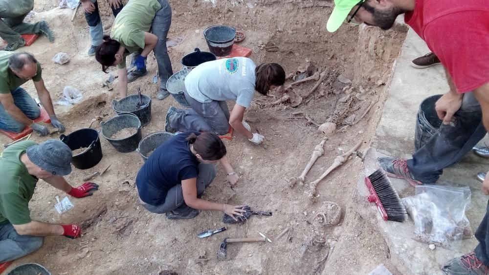 Segundo día de trabajos de exhumación en la fosa de Porreres