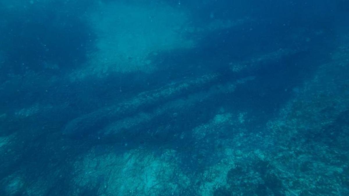 Buceadores de la Armada intervienen un torpedo alemán frente a la costa de Can Picafort.