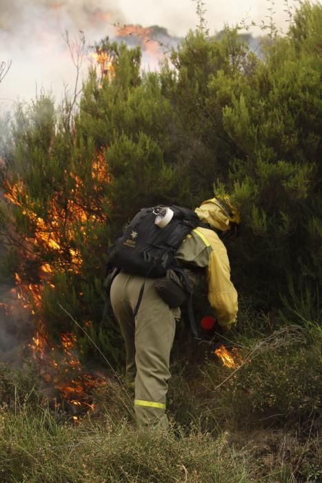 Incendio en los montes de León