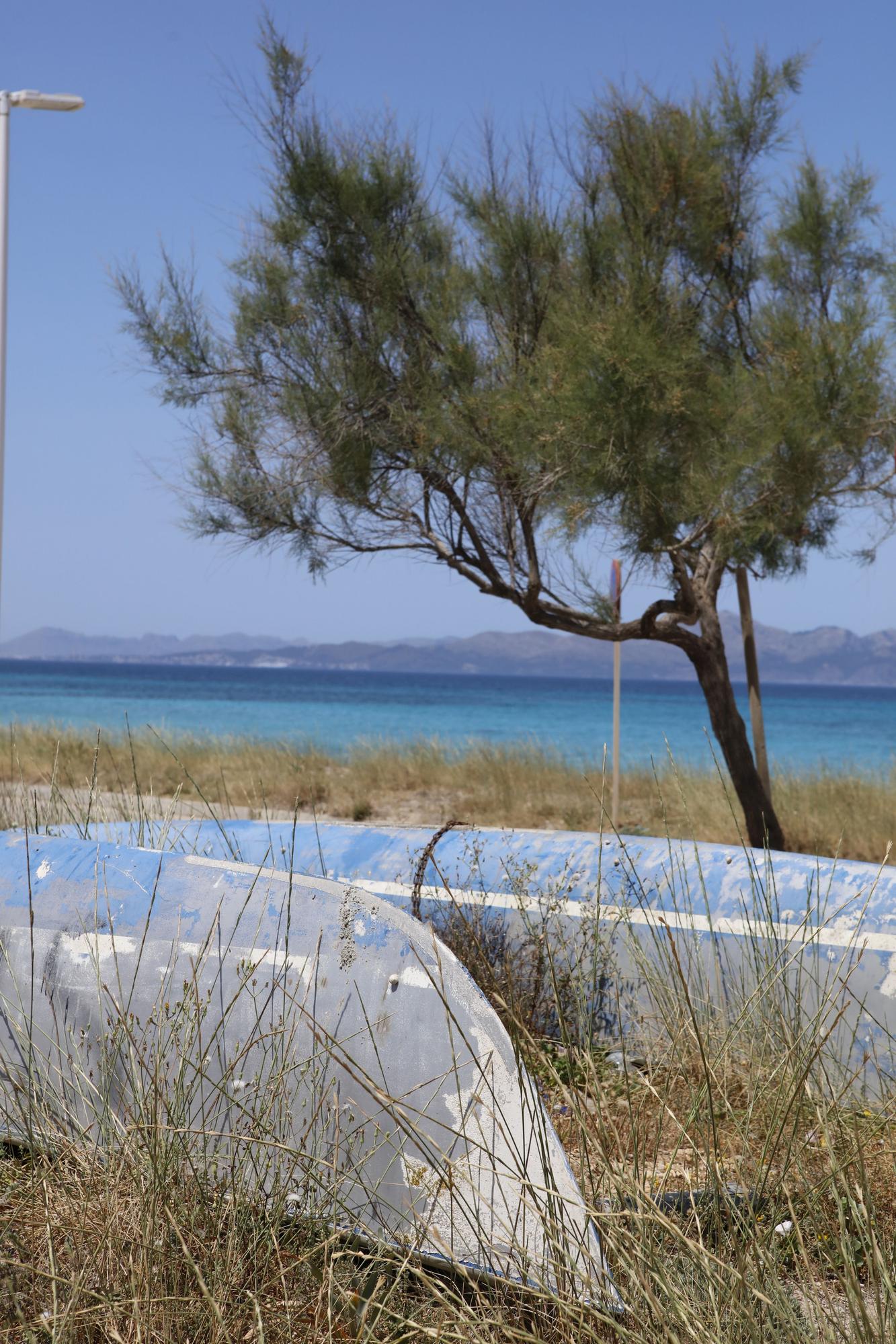 Son Serra de Marina auf Mallorca: Urlaubsfeeling am Naturstrand ohne Massenabfertigung