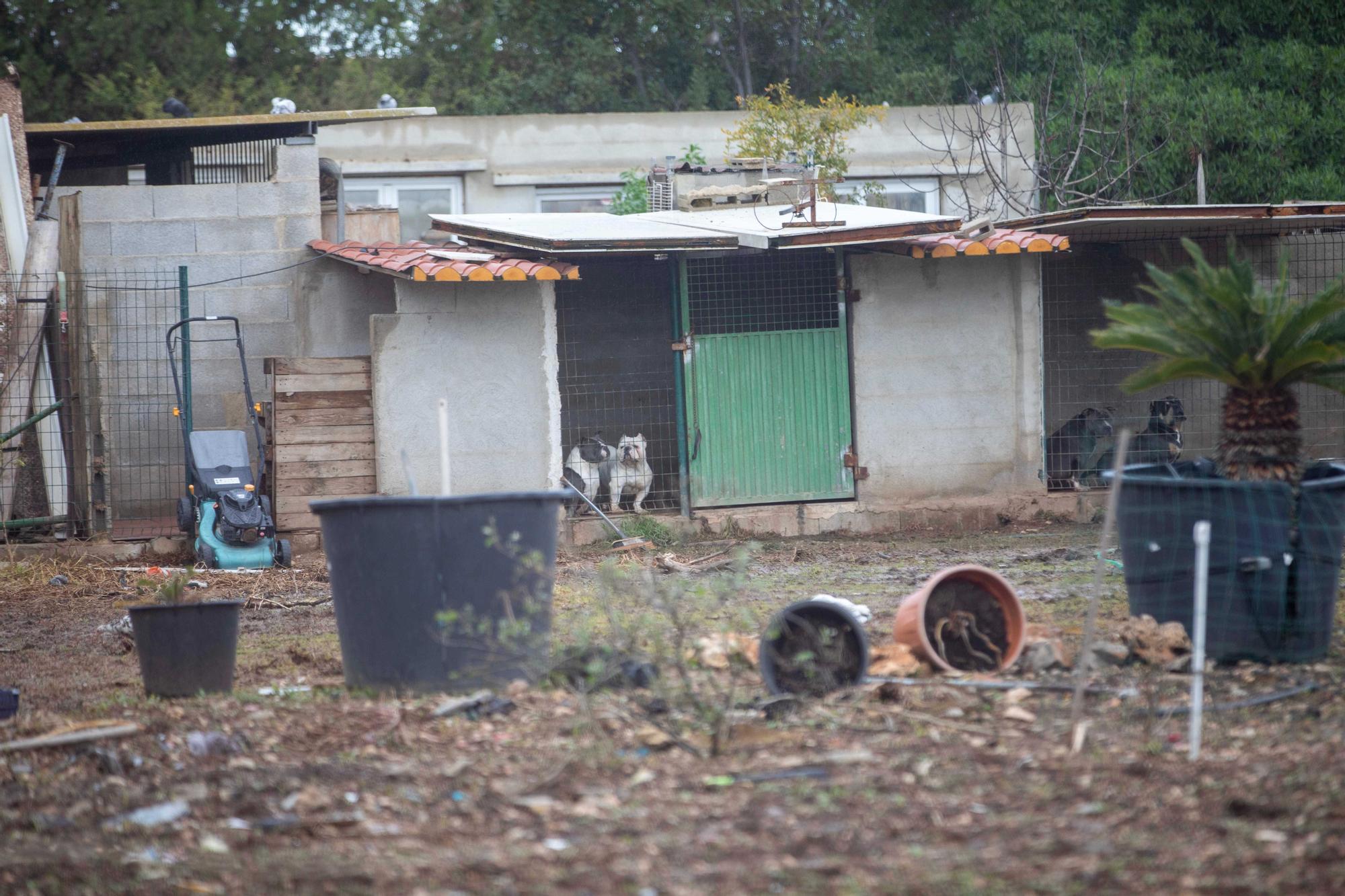 Siete detenidos en la redada contra la droga y el maltrato animal en Son Malferit