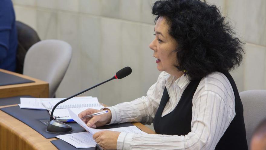 Raquel Pérez, diputada de EU.