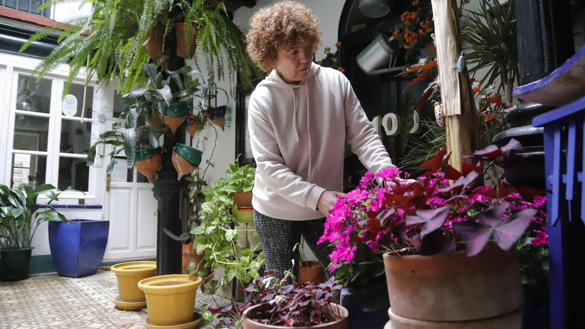 El patio de Maese Luis 22 se retira del concurso