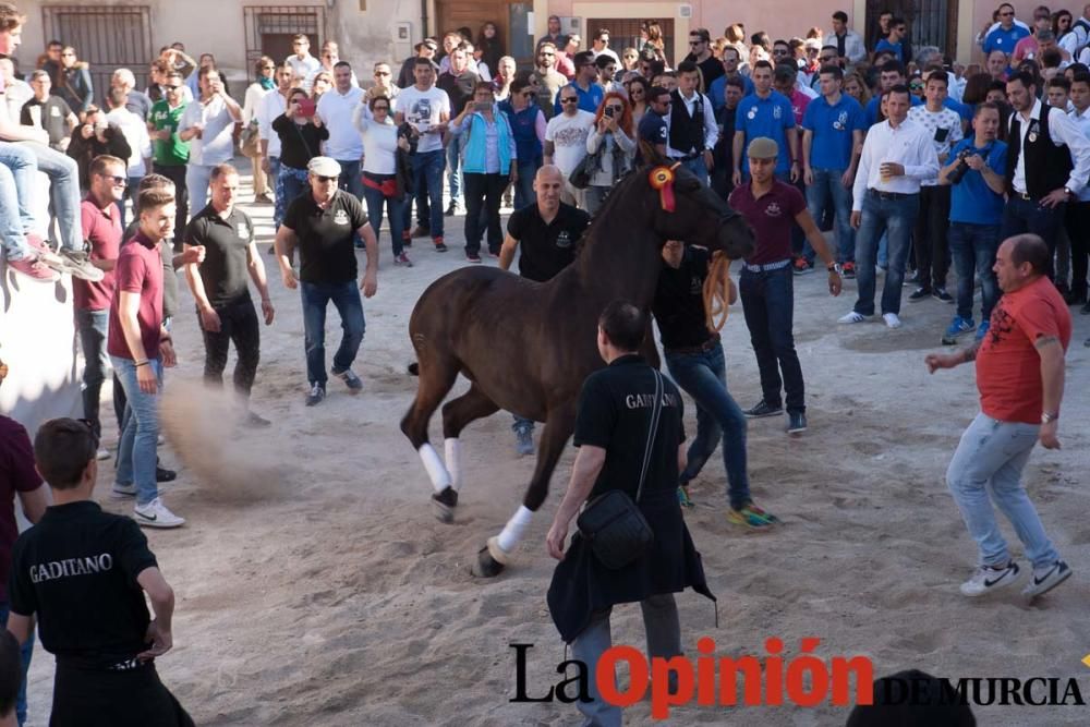 Día uno de mayo, entrada de caballos al Hoyo