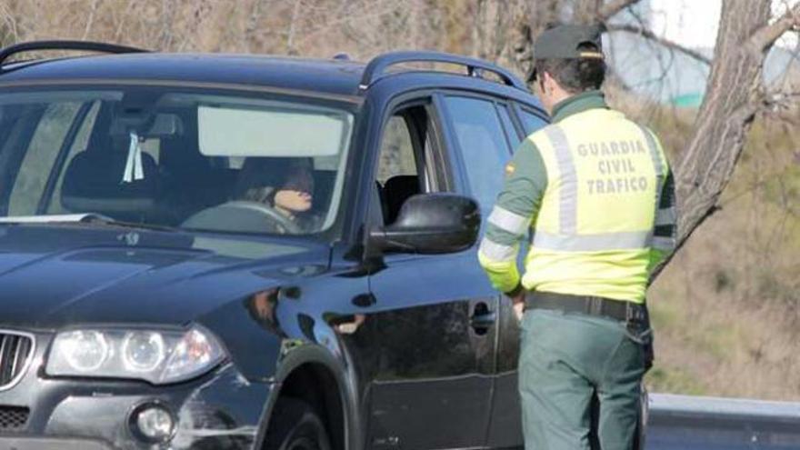 Multa per avançar a un gos sense guardar la distància