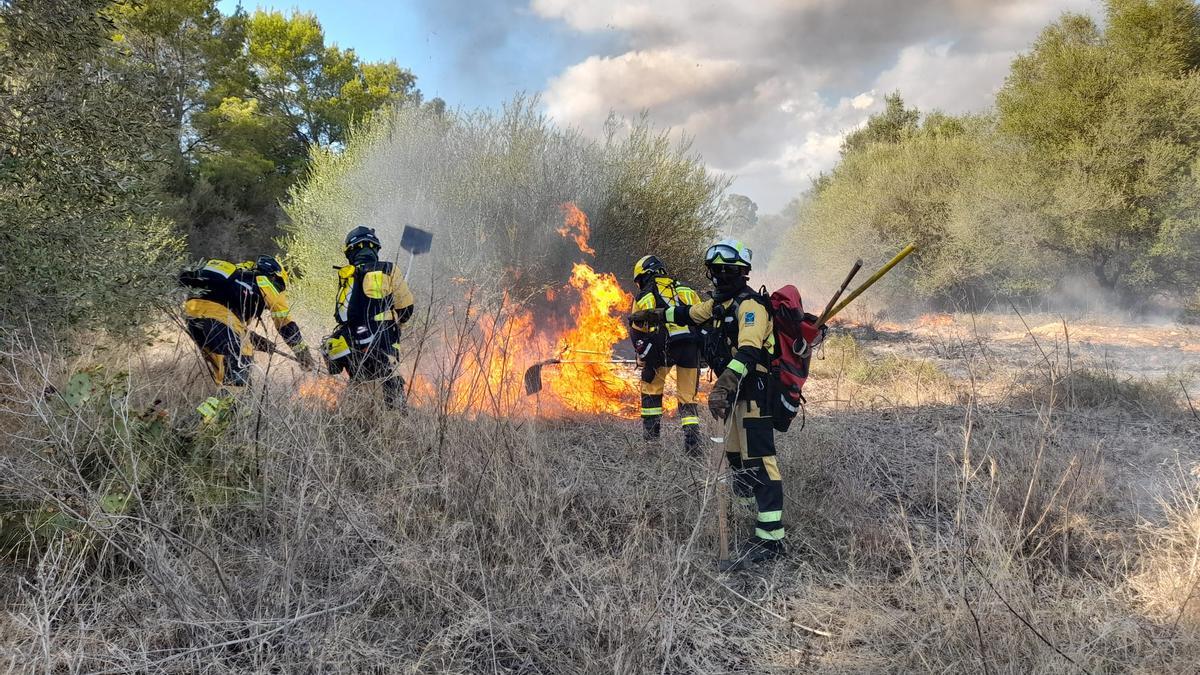 Medios terrestres y aéreos combaten un incendio forestal en Marratxí