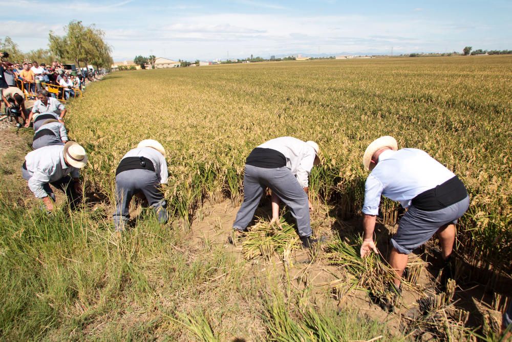 Fiesta de la Siega del Arroz