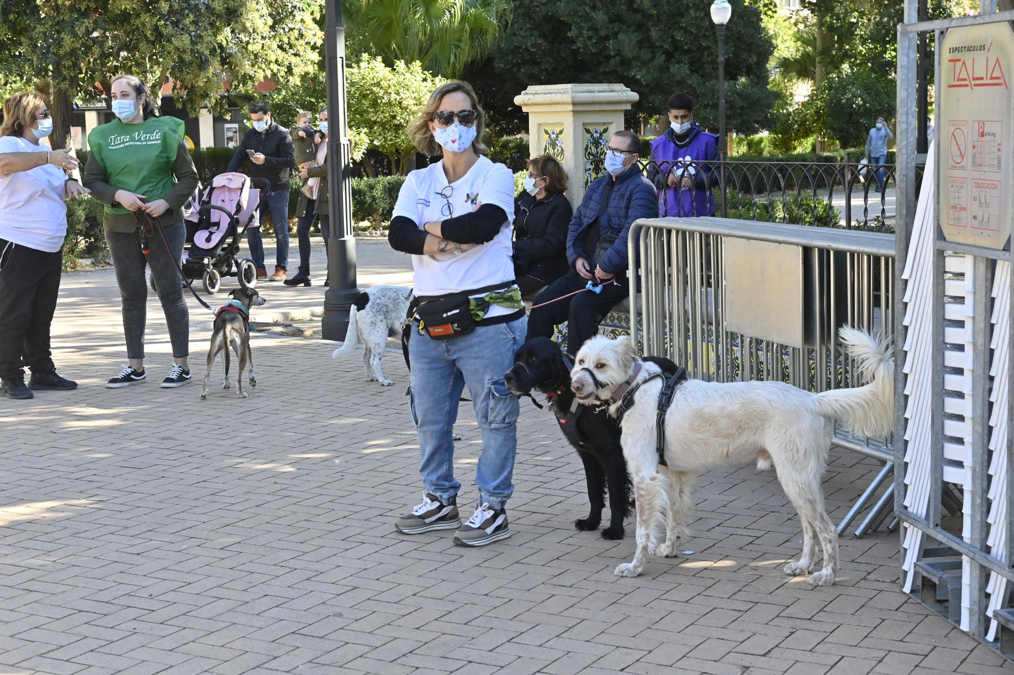 Primera jornada del VI Festival de la Adopción de Castelló