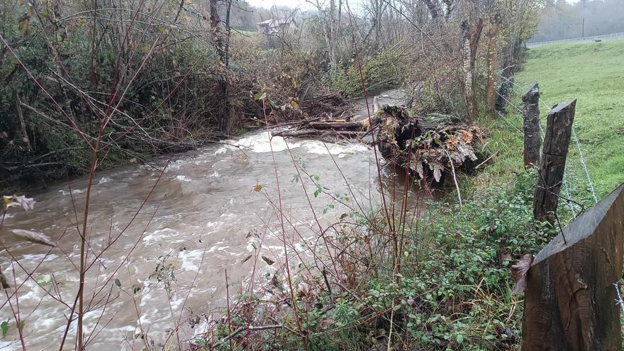 Preocupación entre los vecinos de Llanu Con, en Cangas de Onís, por el estado del río Tabardín