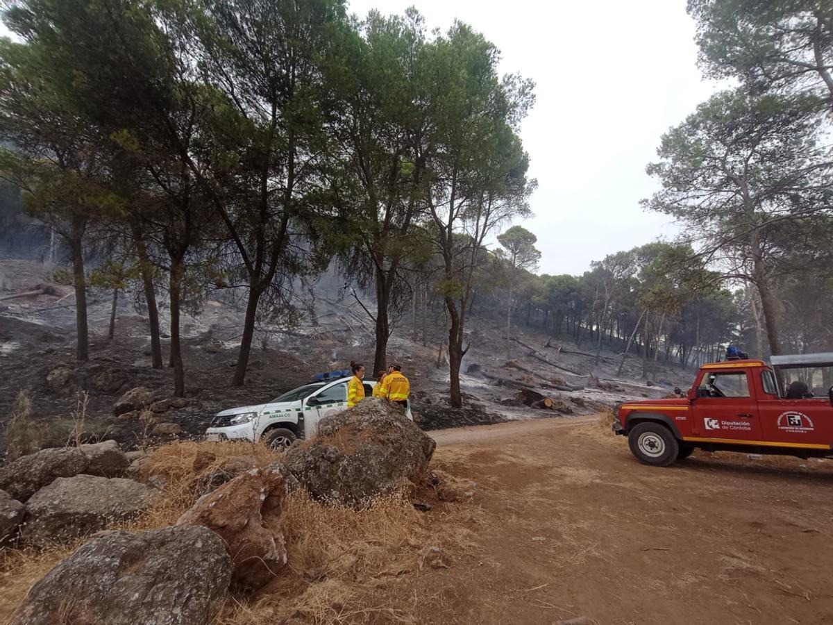El Infoca combate un grave incendio forestal en Rute El Infoca combate un grave incendio forestal en Rute