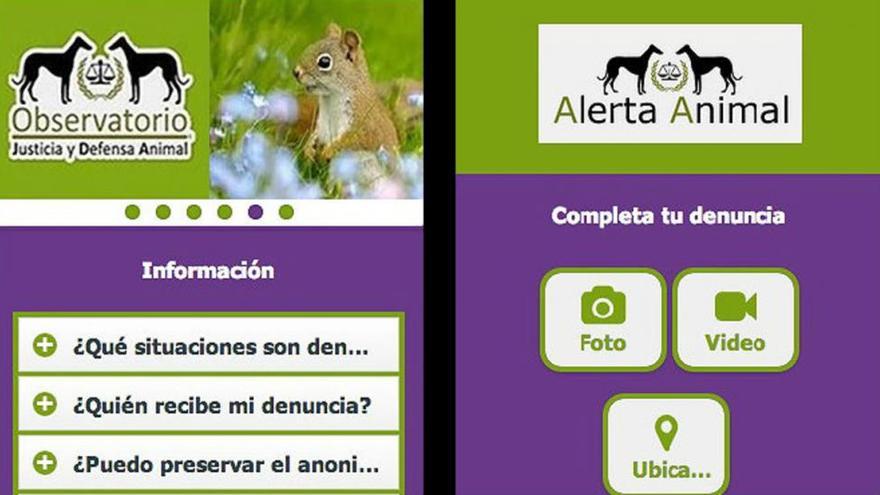 &#039;Alerta animal&#039;, primera &#039;app&#039; española para denunciar el maltrato animal