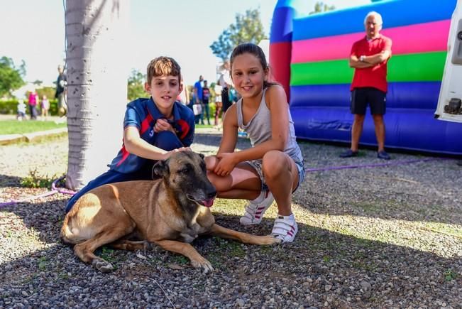 10/12/2016 MASPALOMAS. Feria de Mascotas Maspalomas 2016.Foto: SABRINA CEBALLOS