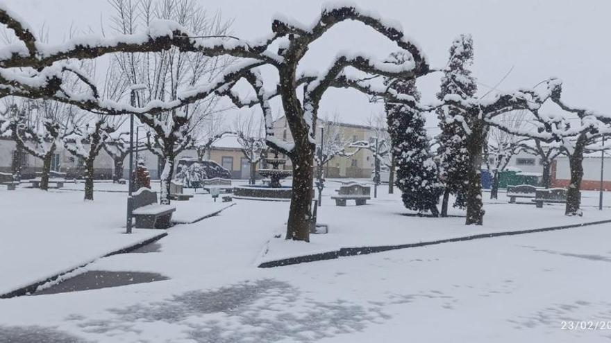 GALERIA | Jueves blanco en los pueblos de Zamora