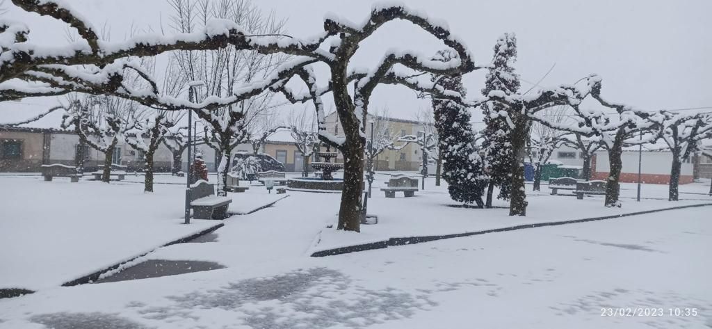 GALERIA | Jueves blanco en los pueblos de Zamora