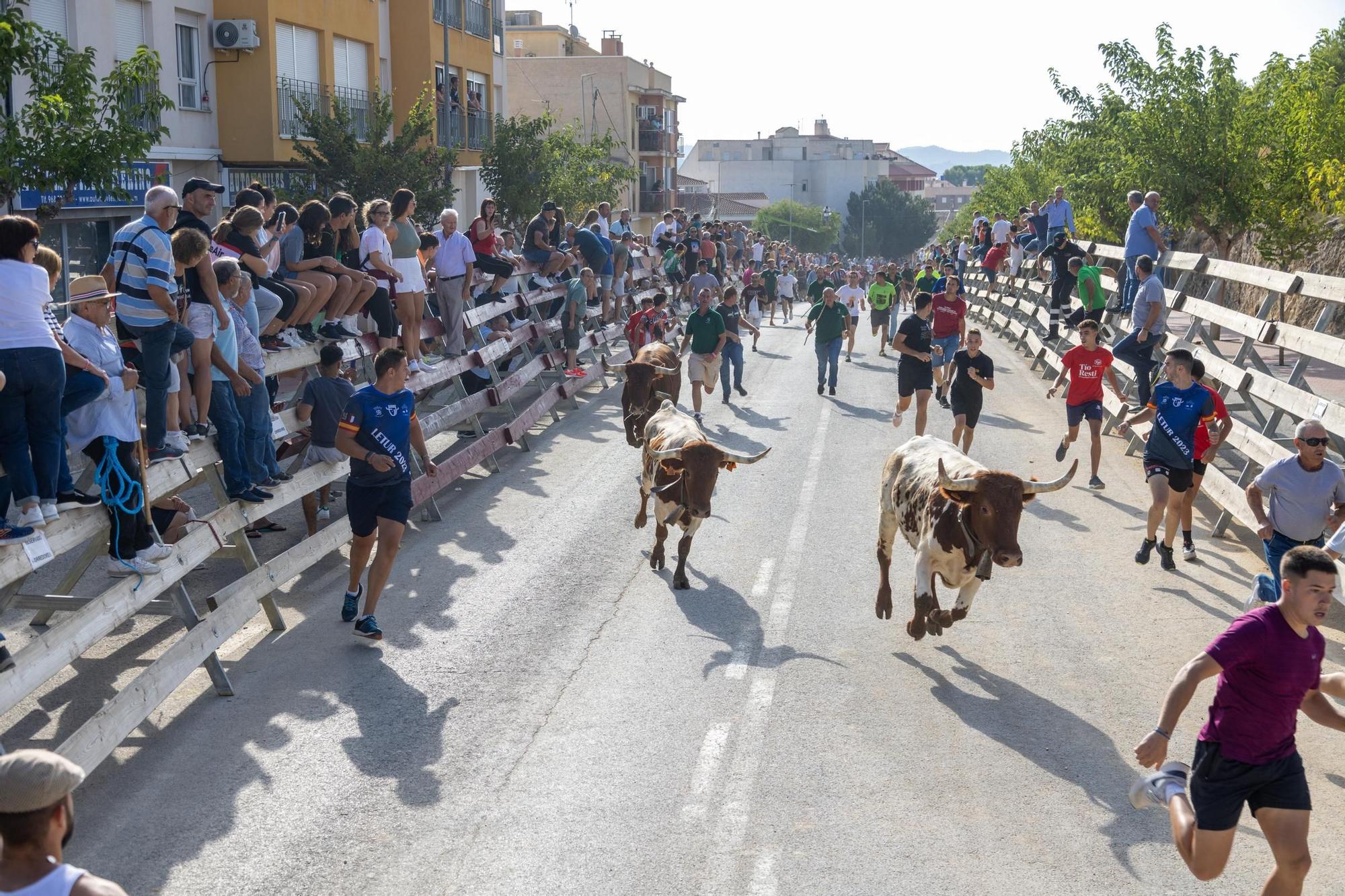 Cuarto encierro de la Feria Taurina del Arroz en Calasparra