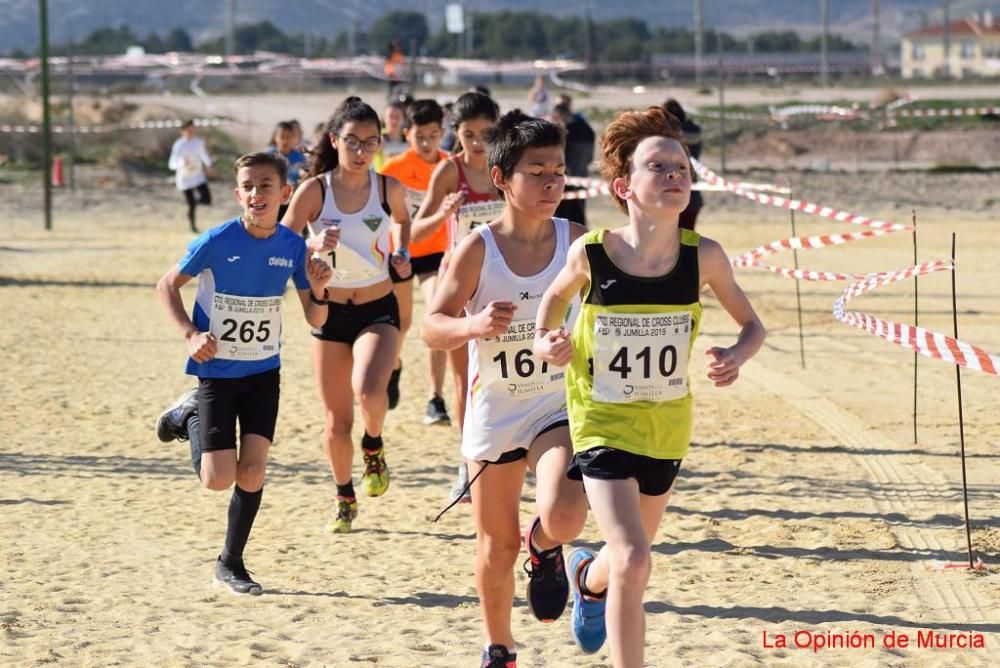 Cross de Jumilla 2