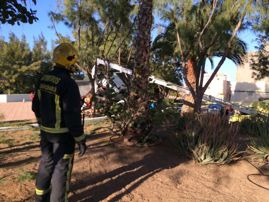 Accidente laboral con una grúa en un jardín de Ingenio