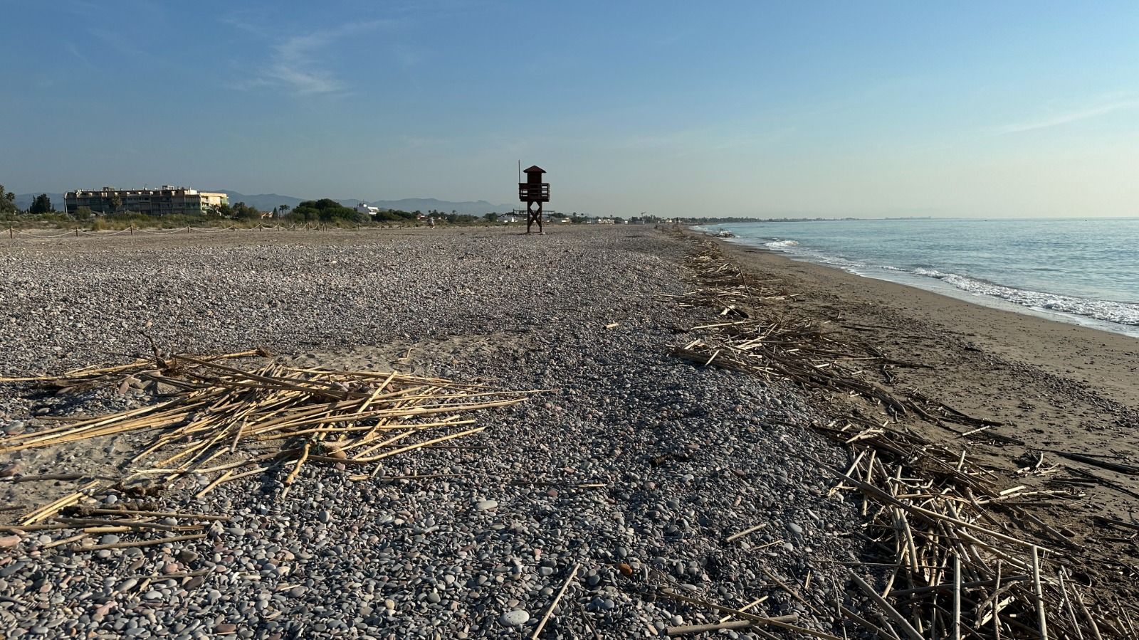Vecinos de Almardà retiran montones de cañas acumuladas en la playa