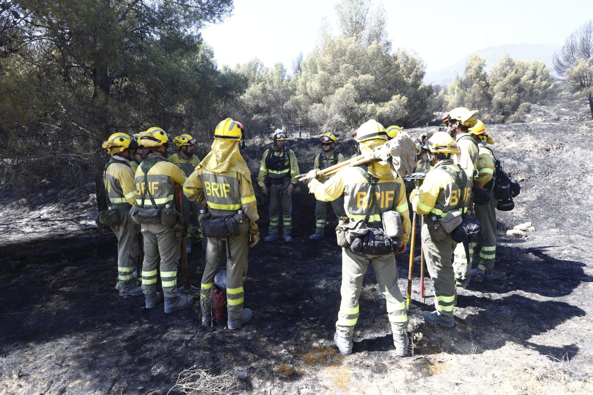 La Brif, desplegada en El Busto para sofocar el frente del incendio del Moncayo