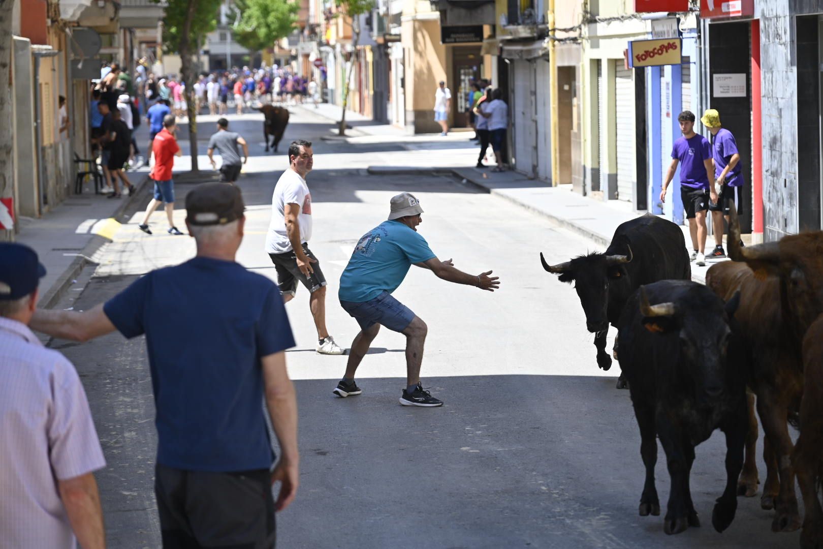 El ‘bou’ toma protagonismo mañana, tarde y noche en el Grau en fiestas