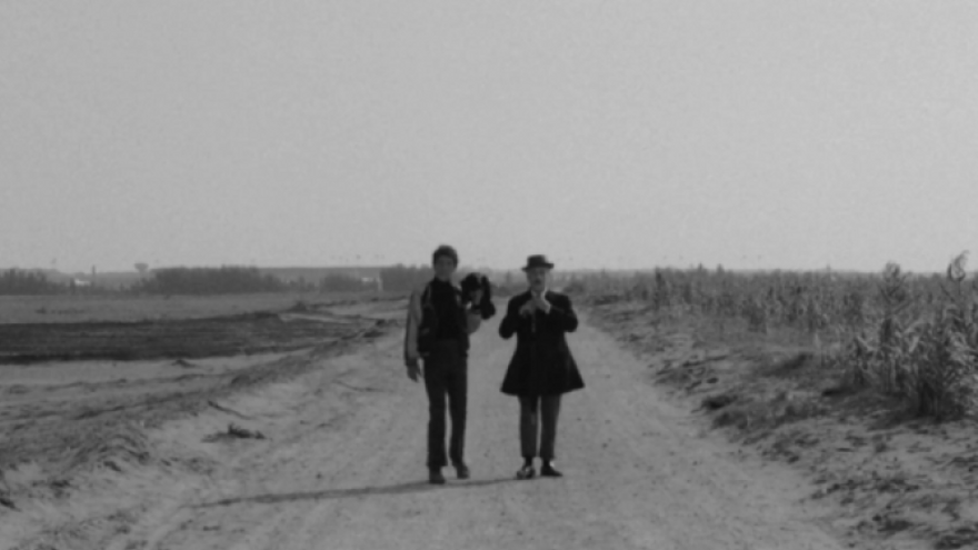 Pajaritos y pajarracos