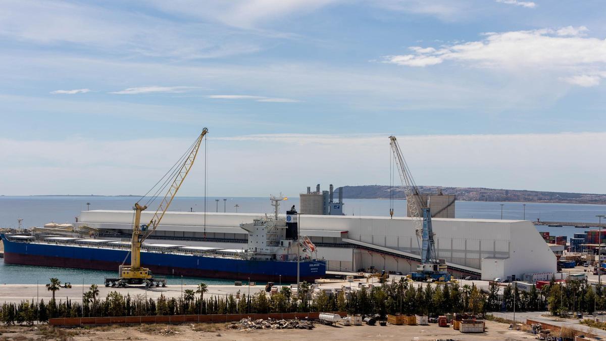 Un juzgado avala la descarga de graneles al aire libre en el muelle 13 del Puerto de Alicante