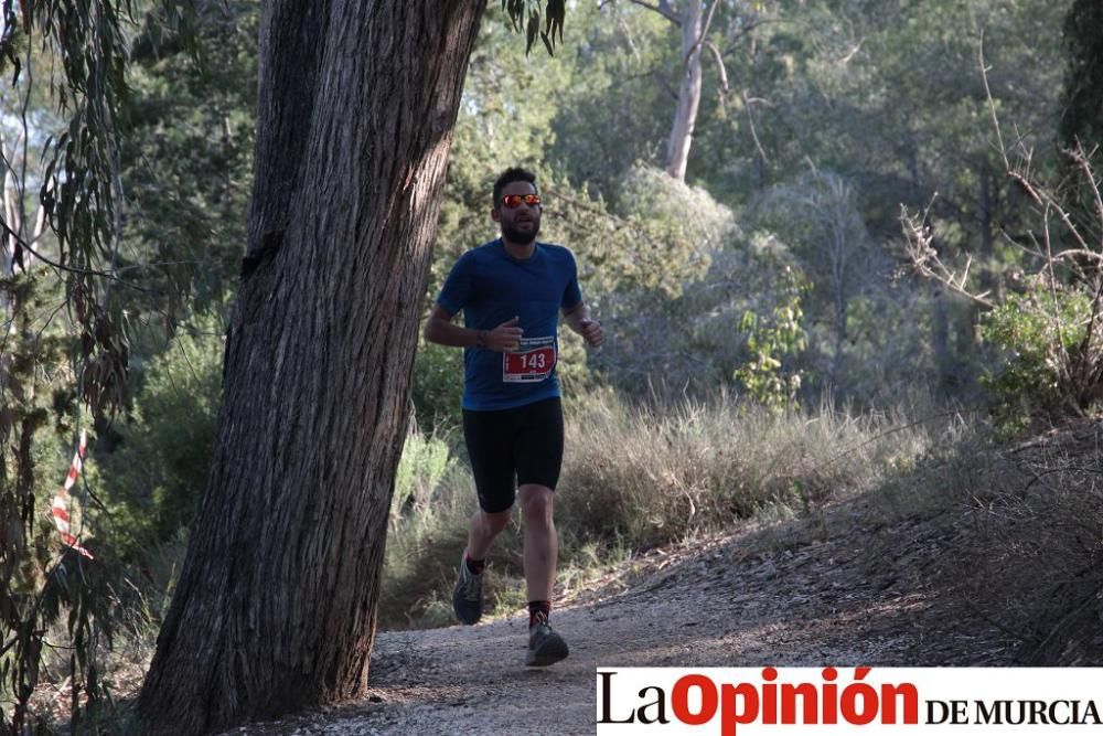 San Jorge Dragon en La Alcayna