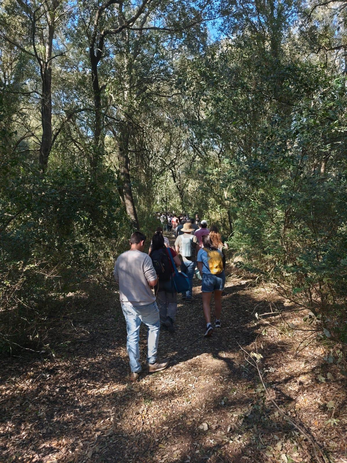 En romería a buscar el pino en la finca de 'Gabellí petit'.