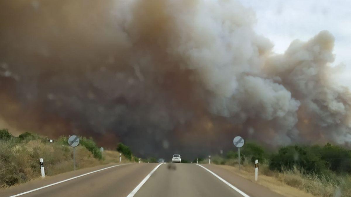 Vista del incendio desde la carretera.