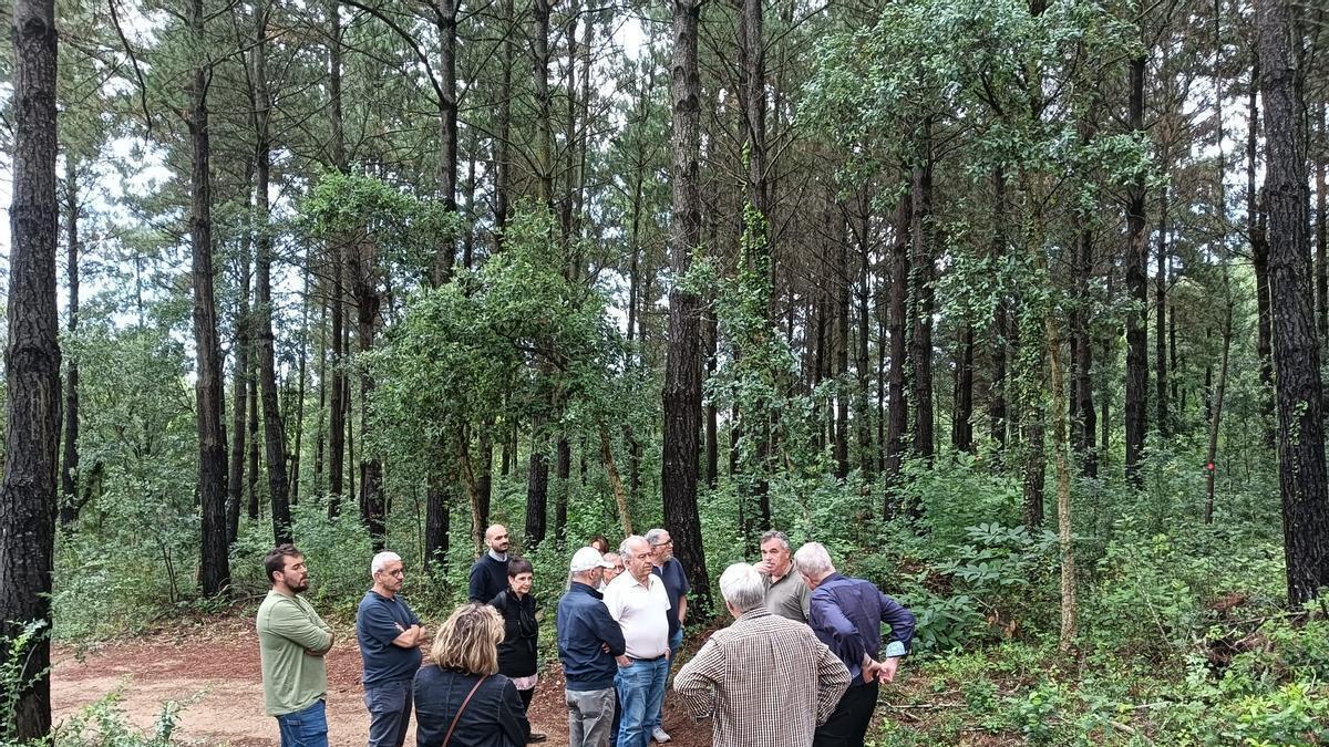 Visita de la Confederació d'Organitzacions de Silvicultors d'Espanya a una finca forestal