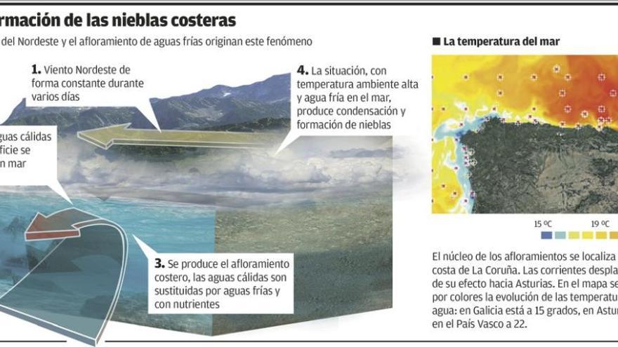 Las nieblas en la costa: el viento y el agua fría se alían