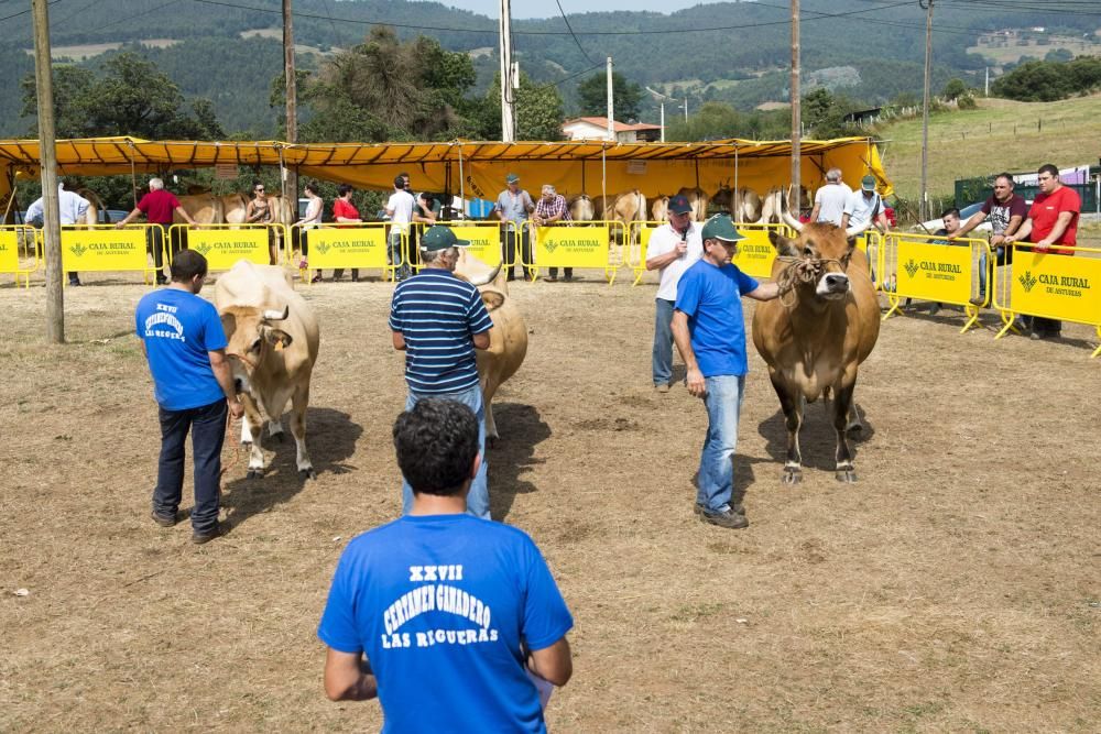 Feria de ganado en Santullano