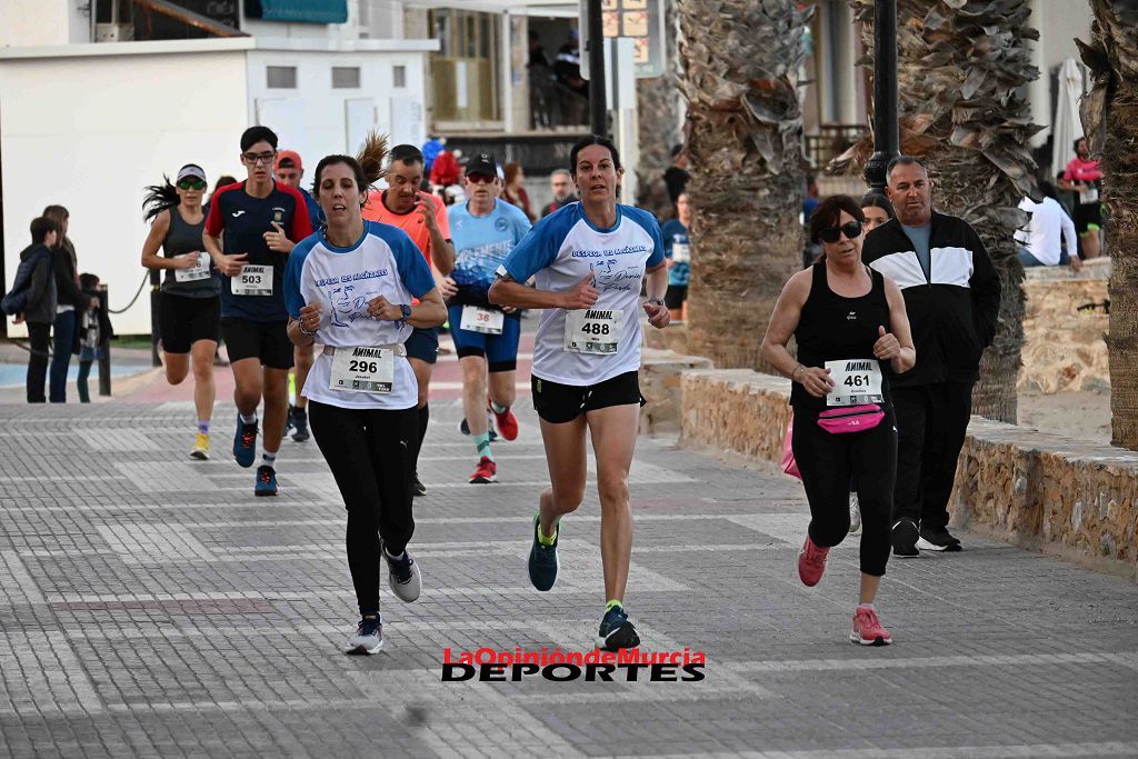 Carrera 5k Animal en Los Alcázares 2024 (II)